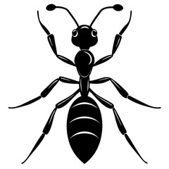 ant silhouette vector illustrator