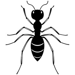 ant silhouette vector illustrator