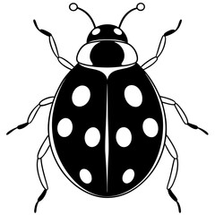 ladybug silhouette vector illustrator