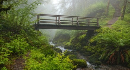 Fototapeta premium Wooden bridge over small stream in misty forest