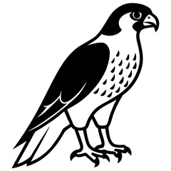 falcon  line art vector 