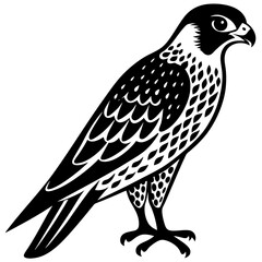 falcon  silhouette vector illustrator 