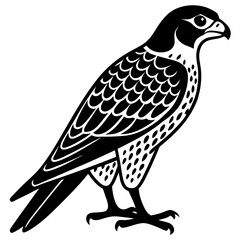 falcon  silhouette vector illustrator 