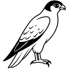 falcon  line art vector 