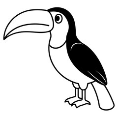 toucan line art vector