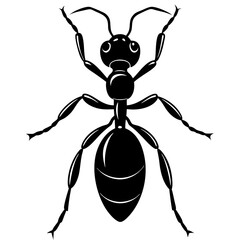 ant silhouette vector illustrator 