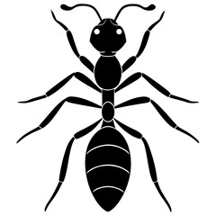 ant silhouette vector illustrator 