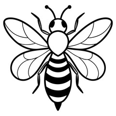 bee line art vector