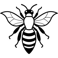 Fototapeta premium bee line art vector
