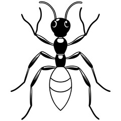ant line art vector 