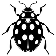 ladybug silhouette vector illustrator © MdShuvo