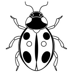 ladybug line art vector