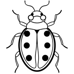 ladybug line art vector