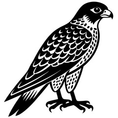 falcon  silhouette vector illustrator 