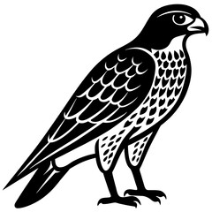 falcon silhouette vector illustrator