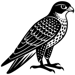 falcon silhouette vector illustrator