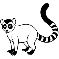 lemur line art vector