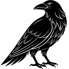 raven silhouette vector illustrator