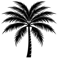 Obraz premium palm tree silhouette