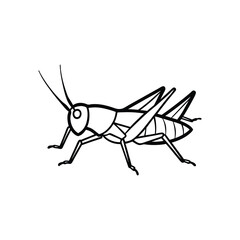 A grasshopper vector illustration