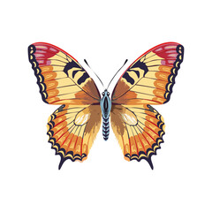 Obraz premium Butterfly color vector illustration.