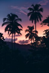 Naklejka premium Dark silhouette of tropical trees against the evening glow.