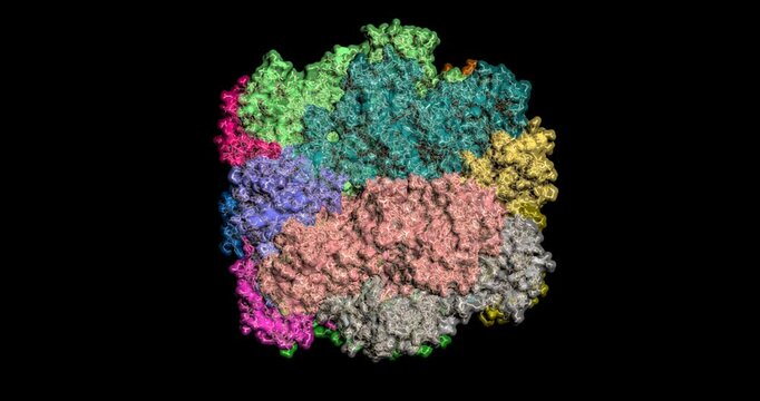  RuBisCO: The Engine of Photosynthesis, 3D molecule spinning, 4K 