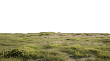 Obraz premium Scenic Flat Grassland Plain with Green Vegetation Isolated on Transparent Background