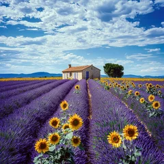 Gordijnen lavender field region © AmeerSultan
