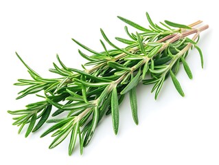 Fototapeta premium Ultra-detailed rosemary on pure white, high-resolution, isolated, professional color grading, stock photo.
