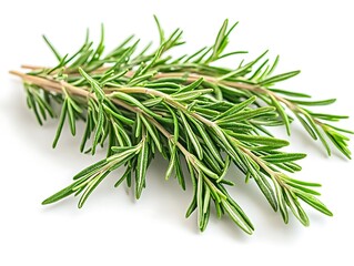 Fototapeta premium Ultra-detailed rosemary on pure white, high-resolution, isolated, professional color grading, stock photo.