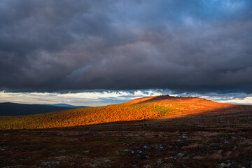 Sunlight illuminates a colorful autumn forest growing on a mountain slope under a dramatic cloudy sky, creating a captivating scenic landscape