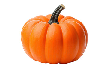 pumpkin isolated on white background