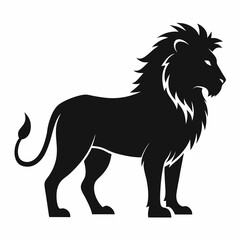 Lion isolated on white