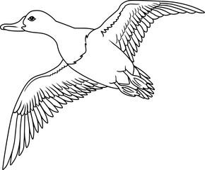 geese flying line vector illustration isolated on white background