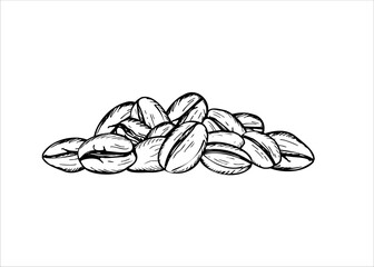 Realistic aromatic roasted coffee bean heap illustration painted by black inks. Organic raw grains with detailed textures. Monochrome flat for cafe coffee product, package decor, poster