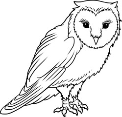 owl perched line vector illustration isolated on white background