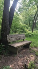 A bench is sitting in a park. The bench is made of wood and is located under a tree