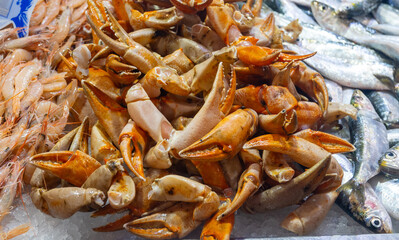 Assortment of fresh ocean daily catch of different Spanish crabs, molluscs, cuttlefish, on ice on fish market in Jerez de la Frontera, Andalusia, Spain