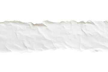 Torn white paper with shadow. Isolated
