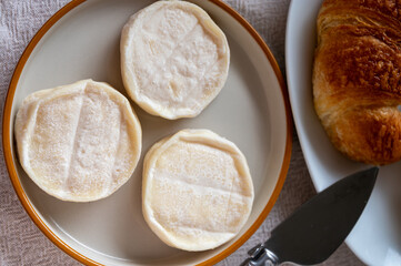 Rocamadour or cabecous soft goat AOC cheese with soft rind produced on farm in Perigord and Quercy on farmers market, departement Lot, France