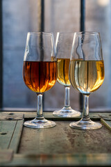 Sherry wine tasting, fino, olorosso, amontillado, cream jerez sherry fortified wine made from palomino white grape in bogedas in Jerez de la Frontera, Cadiz, Andalusia, Spain
