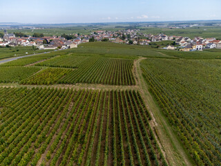 Aerial view on green grand cru vineyards near Oger and Mesnil-sur-Oger, region Champagne, France. Cultivation of white chardonnay wine grape on chalky soils of Cote des Blancs