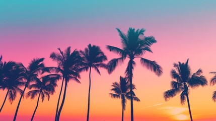 Silhouetted palm trees against the colorful hues of a beach holiday sunset