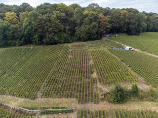 Aerial view on green grand cru vineyards near Cramant and Avize, region Champagne, France. Cultivation of white chardonnay wine grape on chalky soils of Cote des Blancs