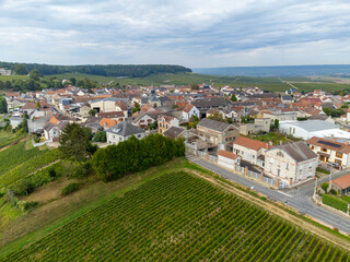 Aerial view on green grand cru vineyards near Cramant and Avize, region Champagne, France. Cultivation of white chardonnay wine grape on chalky soils of Cote des Blancs
