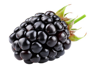Fresh ripe blackberry isolated on transparent background with stem and leaves