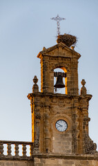 Walking in old part of Jerez de la Frontera, Sherry wine making town, Andalusia, Spain in summer,...
