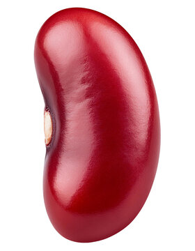 Single red kidney bean isolated on transparent background
