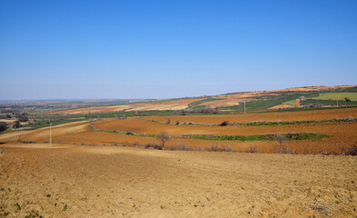 Fototapeta premium A view from Tekirdag city center